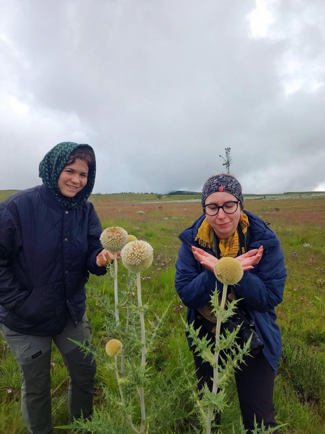 Hiking Kitulo